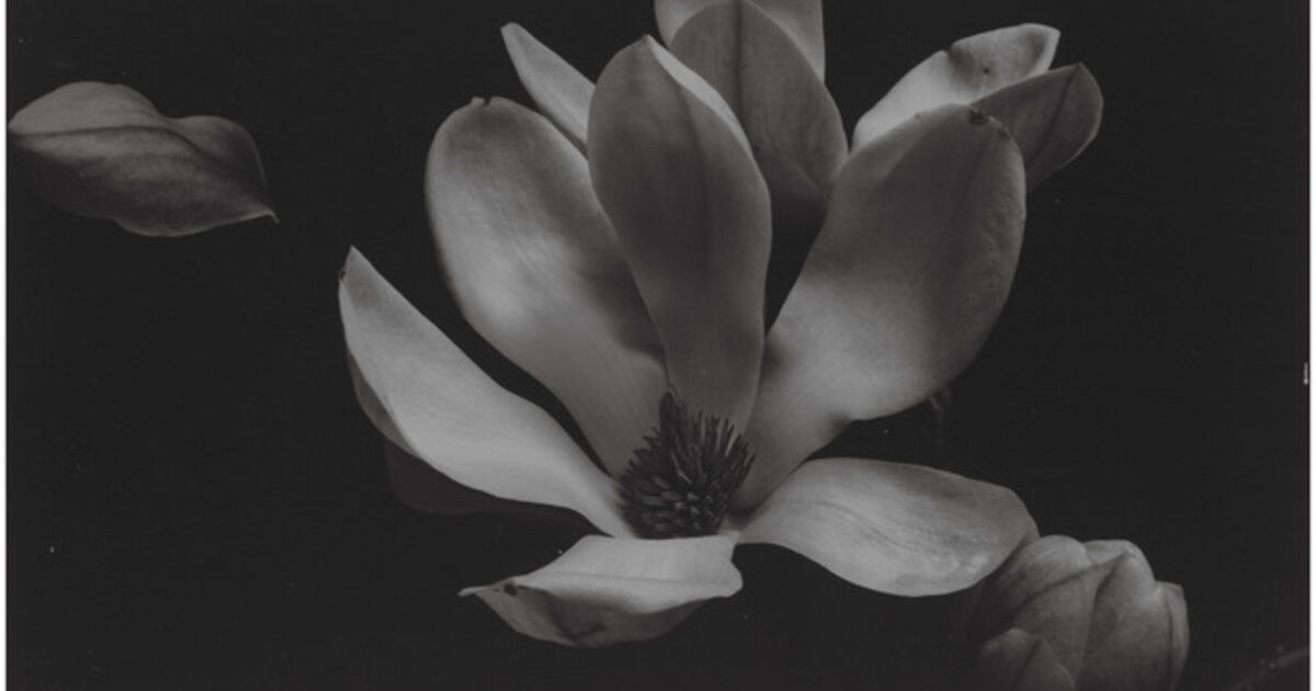 Bruce Rae - Artworks for Sale & More | Artsy