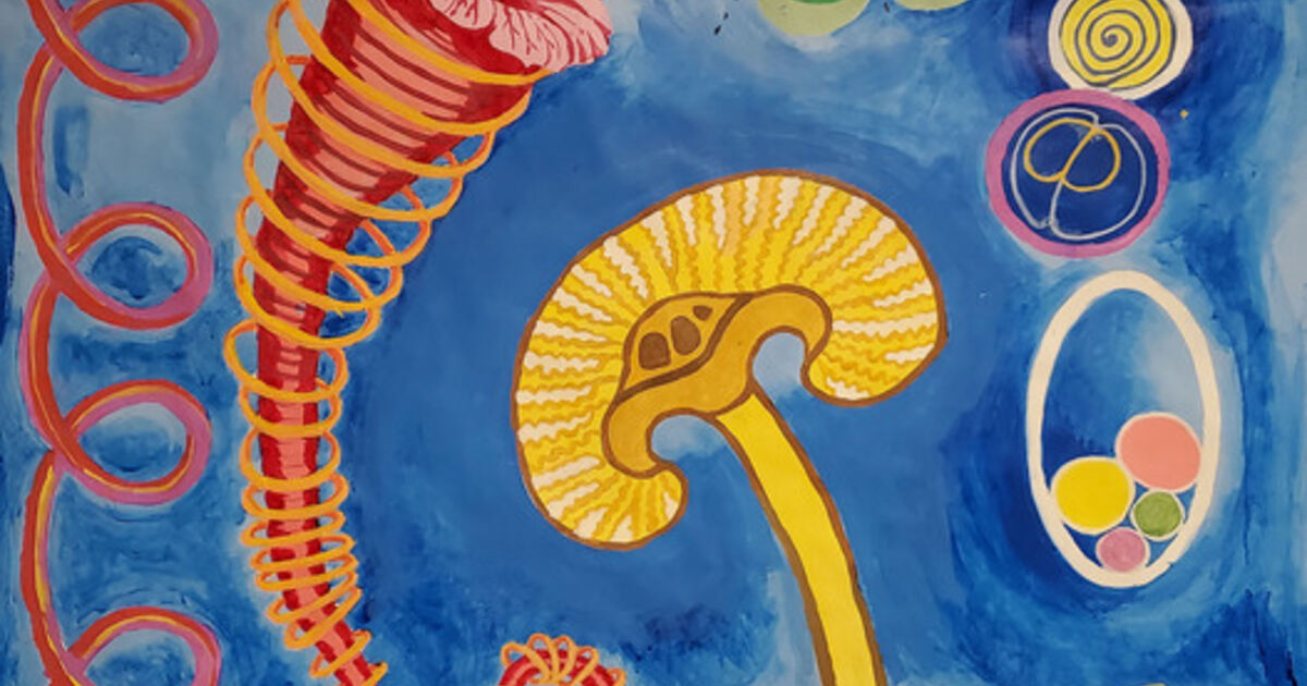Patricia Rourke Patricia O'Rourke - Artworks for Sale & More | Artsy