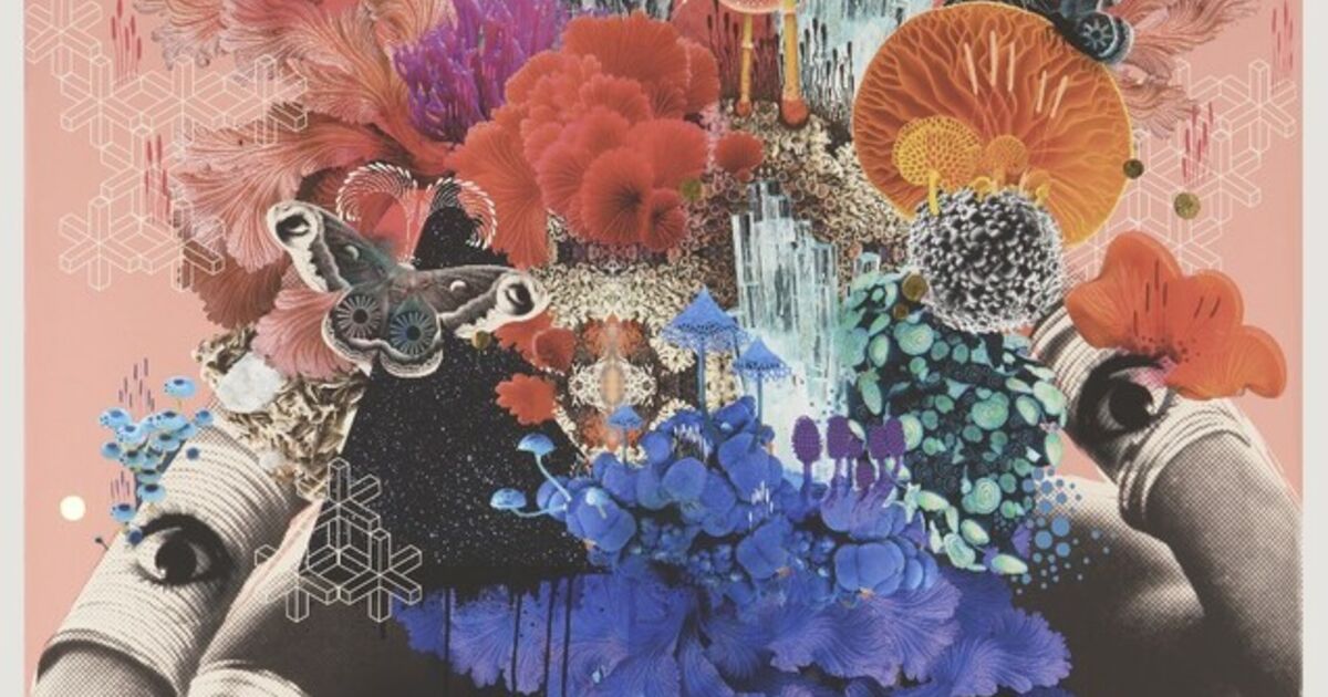 Victoria Toope victoria Topping - Art & Prints for Sale | Artsy