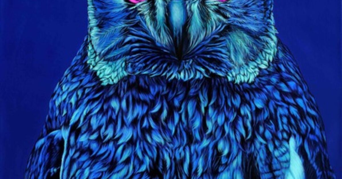 Helmut Koller - Art & Prints for Sale | Artsy