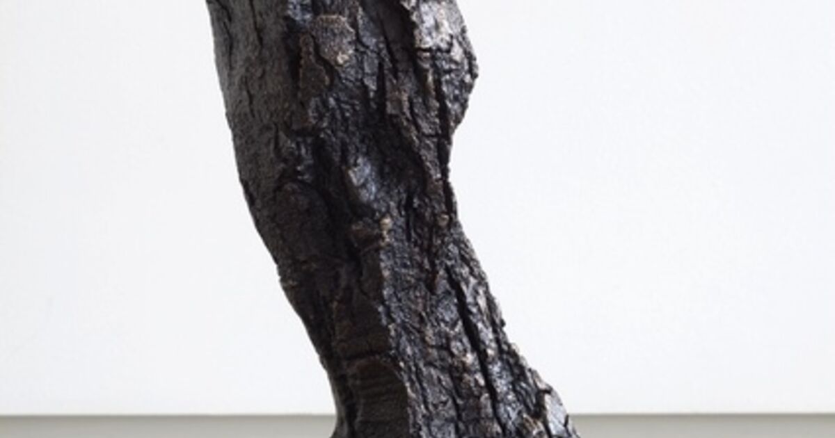 Tim Silver - Art & Prints for Sale | Artsy