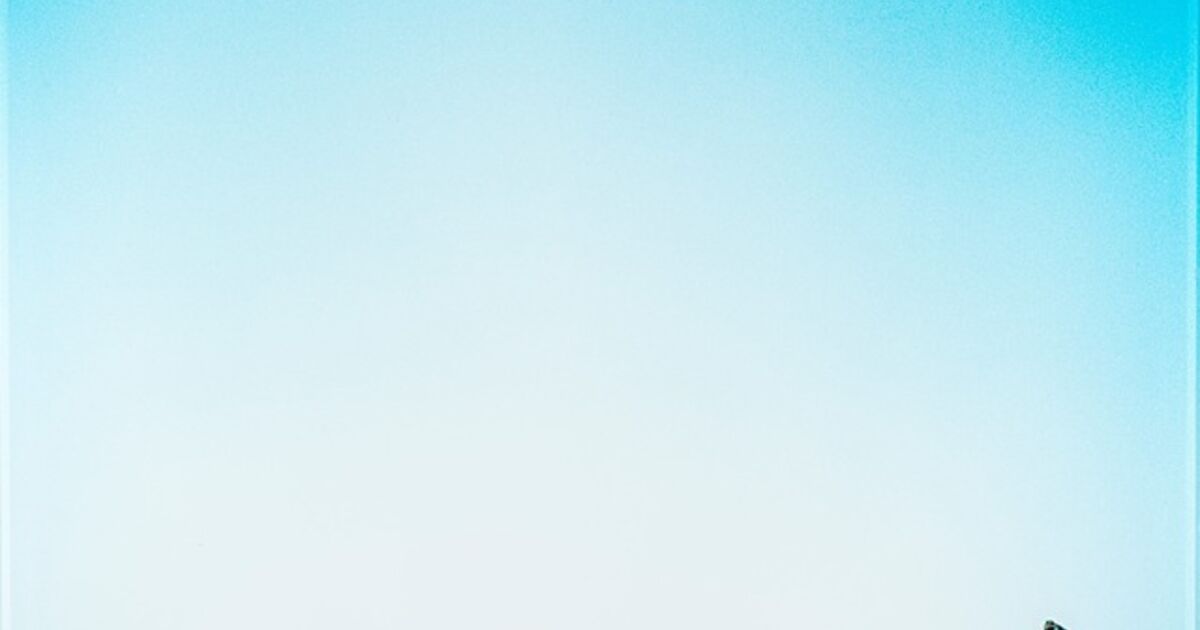 Francesca Rivetti - Art & Prints for Sale | Artsy