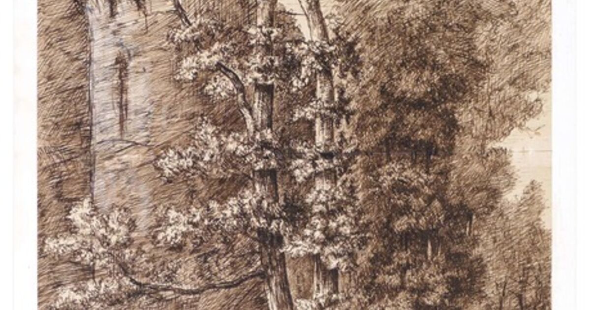 Paul Roux Botha Paul Roux - Art & Prints for Sale | Artsy