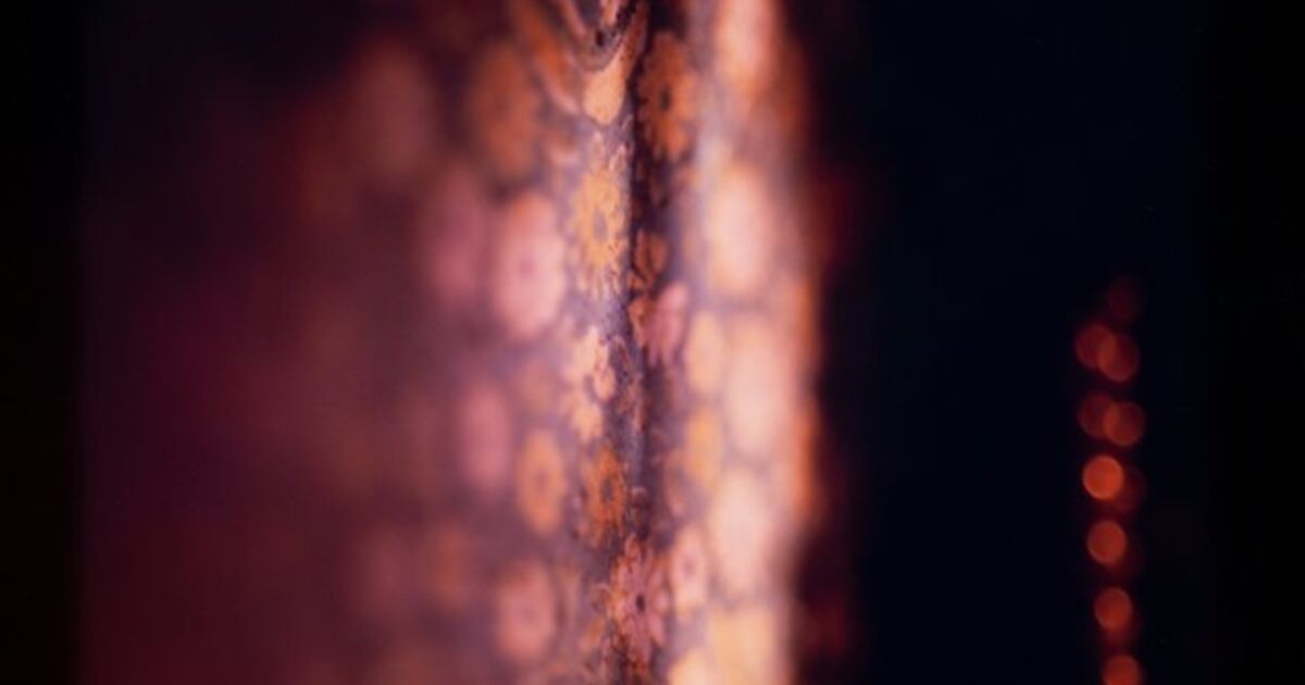 David Everitt - Artworks for Sale & More | Artsy