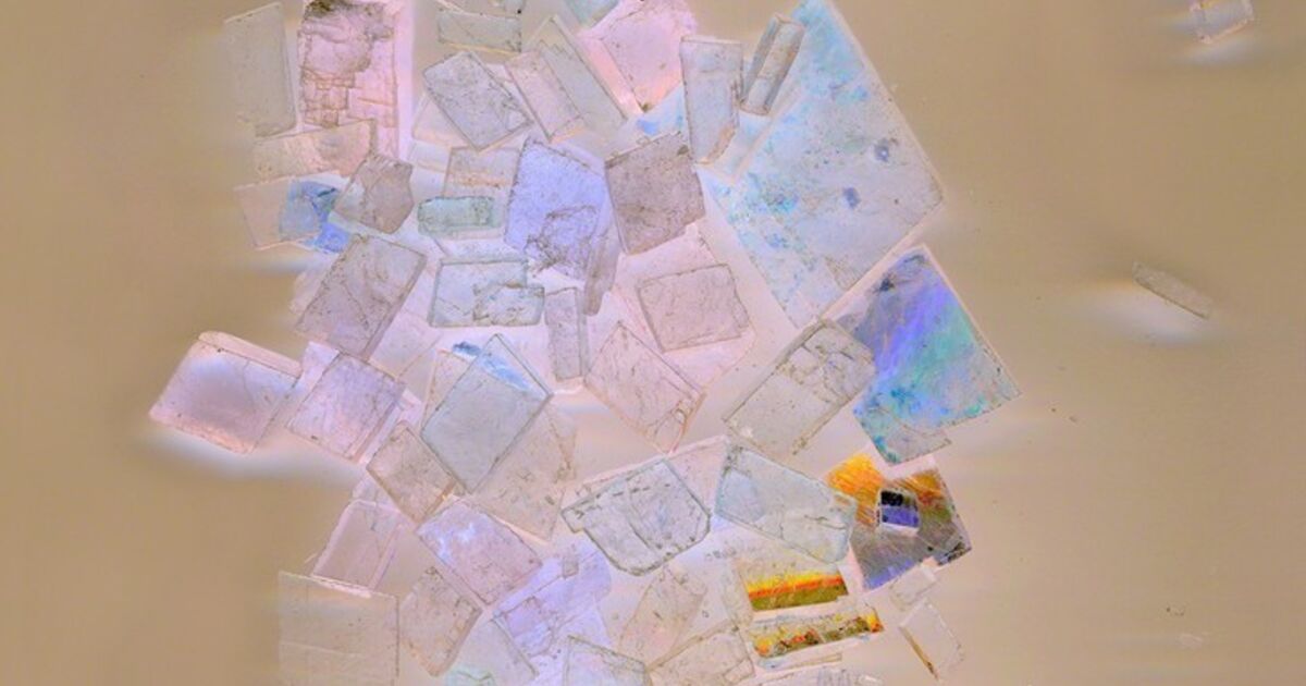 Jessica Rayner Jessica Rayner: Luminous Flux | Artsy