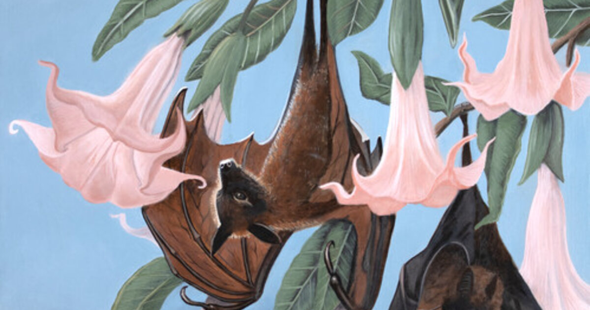 Peebus Erica Peebus - Art & Prints for Sale | Artsy