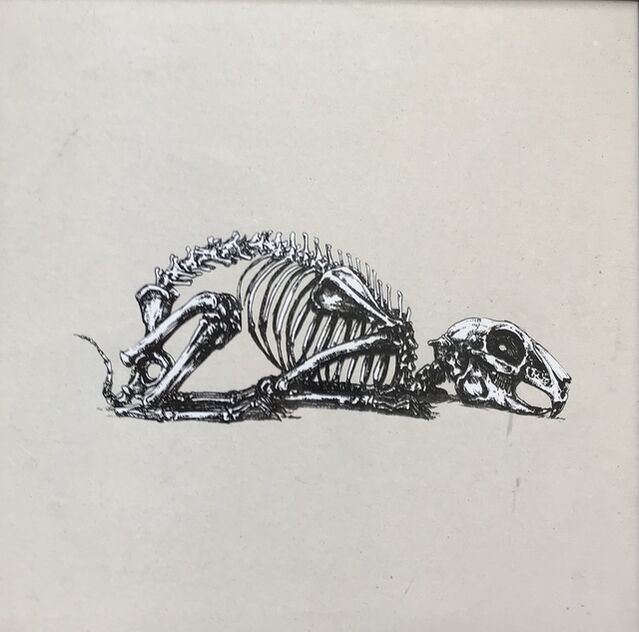 ROA | Year of the rabbit (2011) | Artsy