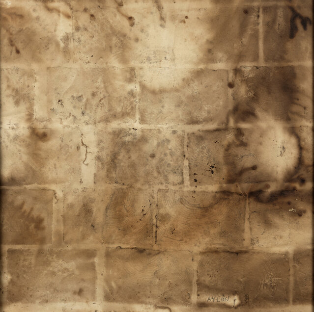 Dissolving Bricks Helène Aylon | Dissolving Bricks (from