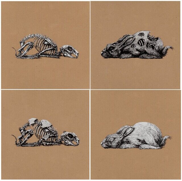 ROA | Year of the Rabbit (full set of 2) (2011) | Artsy