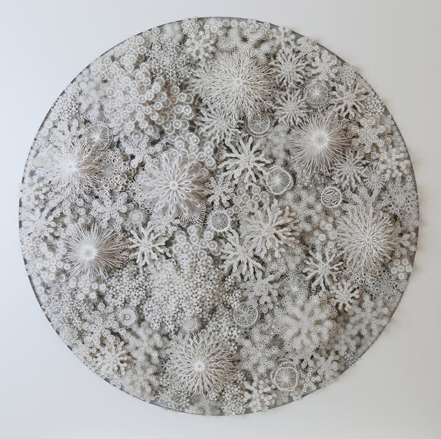 Magic Circle Variation Rogan Brown Magic Circle Haeckel Variation (2021) by Rogan Brown | Artsy