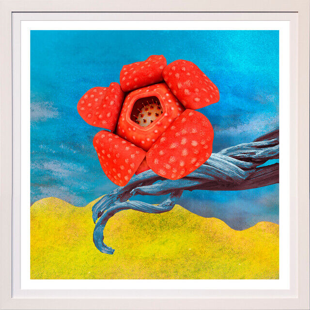 Michelle Rothwell | Stinking Death (2021) | Available for Sale | Artsy