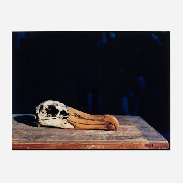 Olivier Ratsy Photography Olivier Richon | Dodo (2006) | Artsy