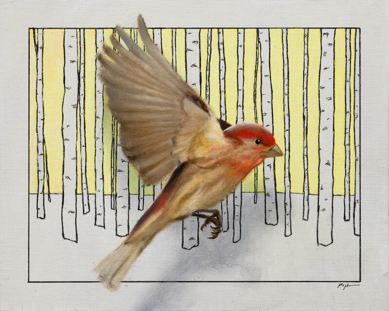 Mark R. Pugh | House Finch, Winter Aspens (2024) | Artsy