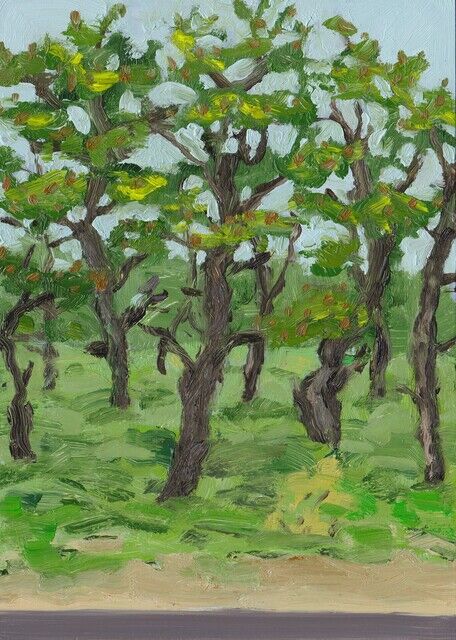Janette Maxey | Cape Cod Trees by the Beach (ca. 2017) | Artsy