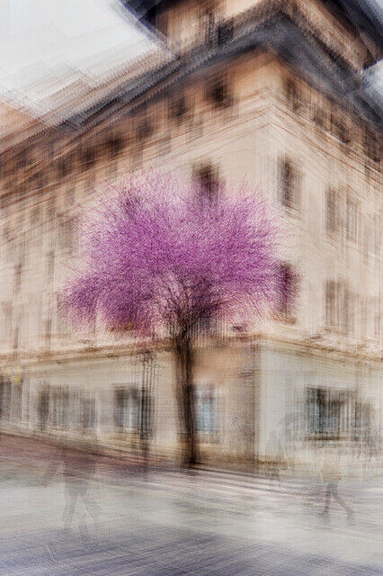 Jacob Gils | Palma #5 (2022) | Available for Sale | Artsy