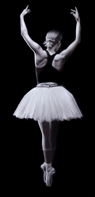 Ognian Zekoff Ballet I (2024) Available for Sale Artsy