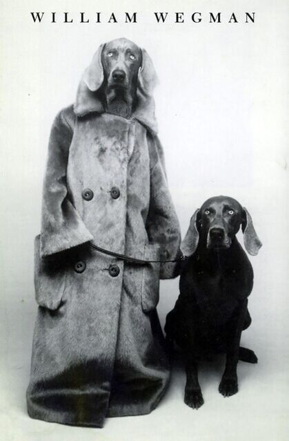 William Wegman William Wegman Whitney Museum 1992