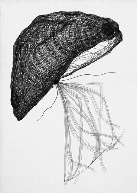 Shee Gomes | Shells 542 (2021) | Available for Sale | Artsy