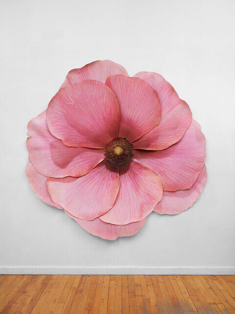 Benjamin Langford | Maroon Ranunculus (2025) | Available for Sale | Artsy