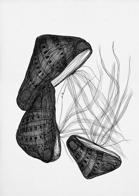 Shee Gomes | Shells 549 (2021) | Available for Sale | Artsy