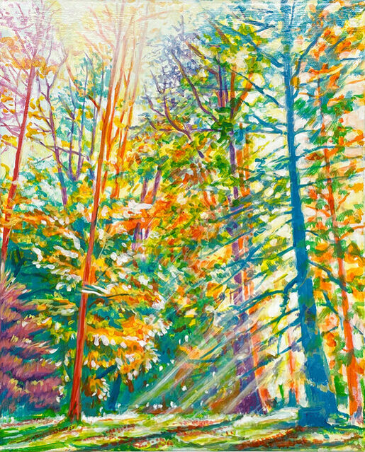 Taiyo Tono (冬乃 太陽) | Forest of Colors Sunlight Filtering Through the ...