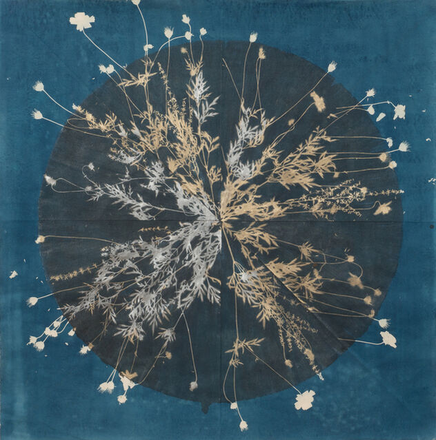 Danielle Rante | Core 10 (2017) | Artsy