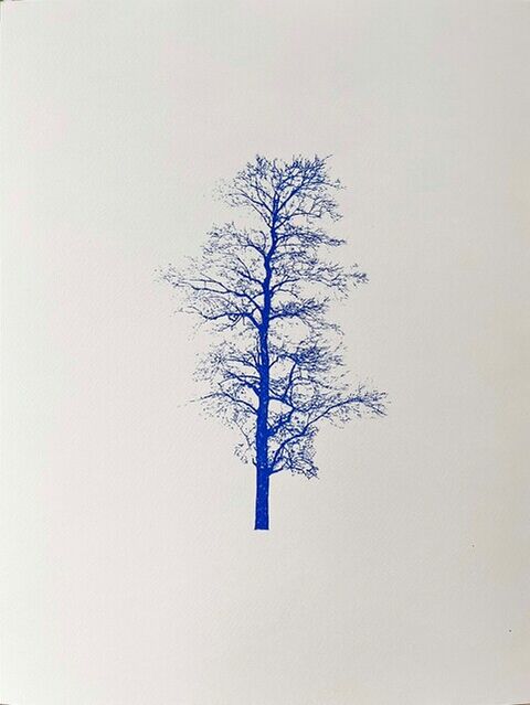 Eamon O'Kane | Blue Tree Inkblot Test 3 (2023) | Available for Sale | Artsy