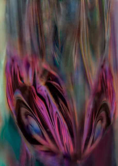 Atsuo Hashimoto | Butterfly (2022) | Available for Sale | Artsy