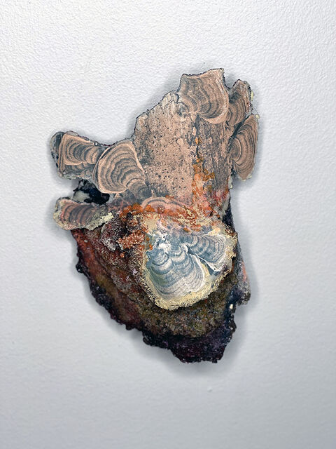 Susan Rostow | Fungi on the Top (2019) | Available for Sale | Artsy