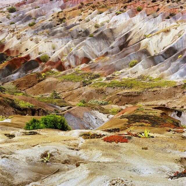 Jon Tonks | Longwood, St Helena (2013) | Available for Sale | Artsy