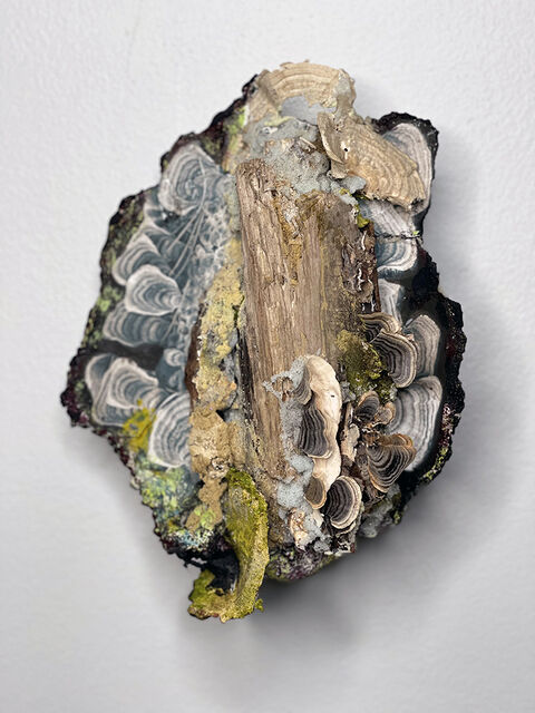 Susan Rostow | Fungi on the Bottom Right (2019) | Available for Sale ...