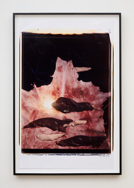 Helen Chadwick Meat Abstract No 3 Liver 1989 Available For Sale helen-chadwick-meat-abstract-no-3-liver-1989-available-for-sale