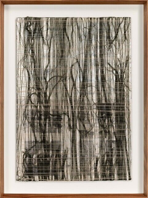 Mark Rautenbach | Post-punk Beige (All Cats are Grey Suite, Shot Series ...