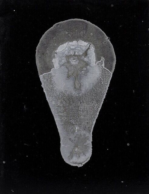 Moriyama Yasuhide | Non-existent Objects 39 (1997) | Artsy