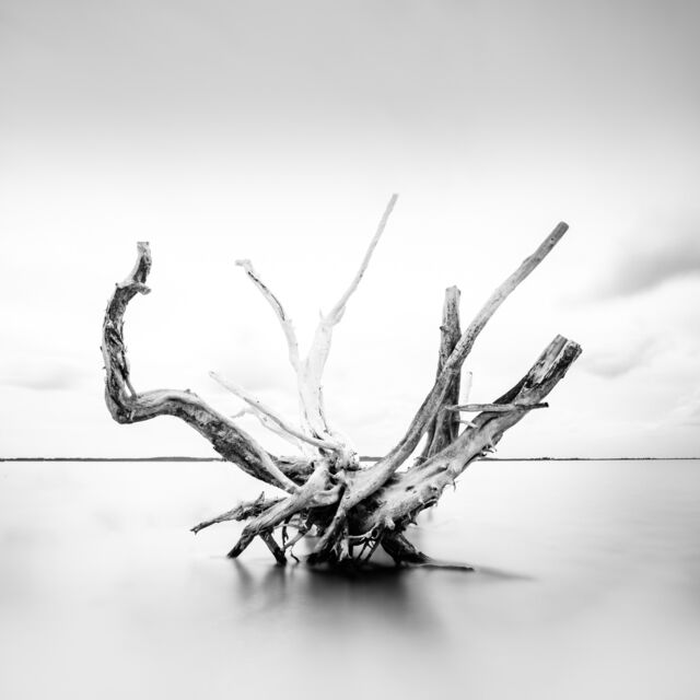 Keith Ramsdell Keith Ramsdell | Driftwood | Available for Sale | Artsy