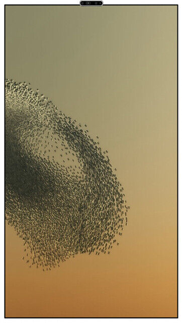 DRIFT | Coded Nature 1-1 (2022) | Artsy