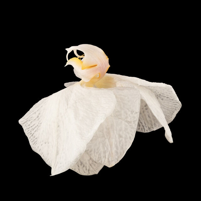 Pascal Goët | Phalen II (2019) | Artsy