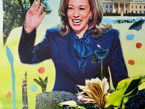 Sheryll Cashin | Kamala, A Dream Deferred (2024) | Available for Sale ...