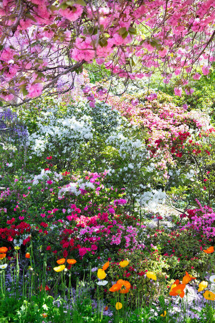 Mika Ninagawa Flowers Shimmering Light 2021 Artsy mika-ninagawa-flowers-shimmering-light-2021-artsy