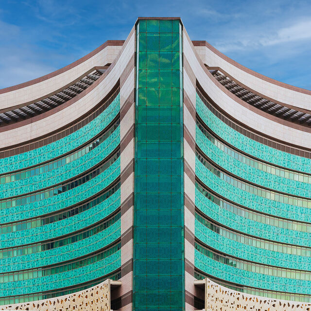 Saropian Rouzan Seropian | Jaber Al Ahmed Al Sabah Hospital (2022) | Artsy