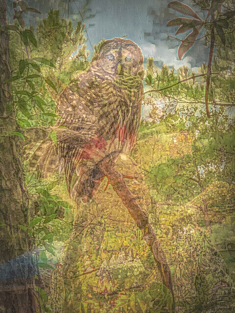 Richard Mathis | Watchful Spirit (Owl) (2025) | Available for Sale | Artsy