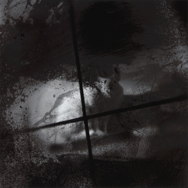 Keith Carter | Rabbit in Crosshair | Available for Sale | Artsy
