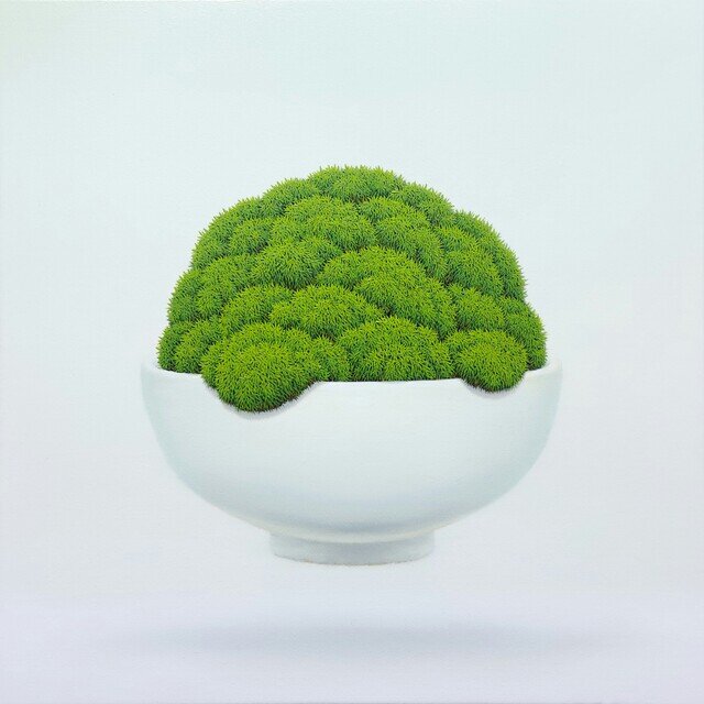 Jong Rice Jong-yong Yang | Rice bowl moss (2025) | For Sale | Artsy