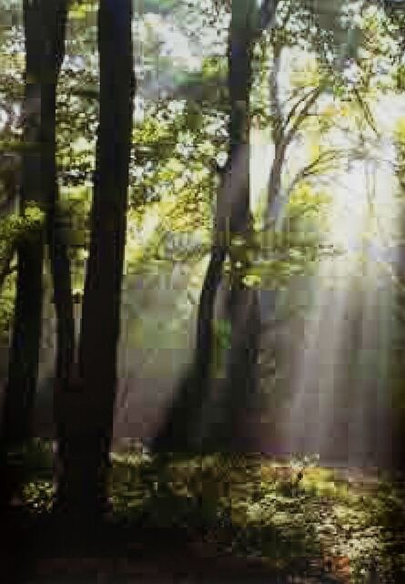 Thomas Ruff’s JPEGs - For Sale on Artsy