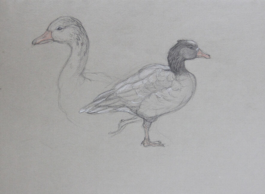 Patricia Traub - Artworks for Sale & More | Artsy