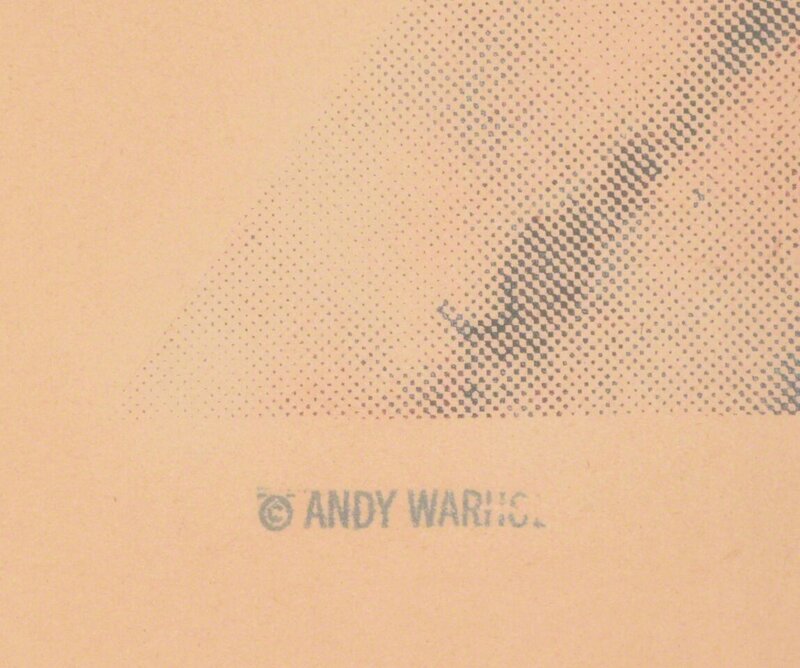 Andy Warhol, Louis Brandeis (Unique) by Andy Warhol (1980)