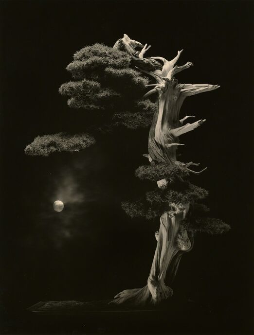 Yamamoto Masao Art Prints For Sale Artsy yamamoto-masao-art-prints-for-sale-artsy