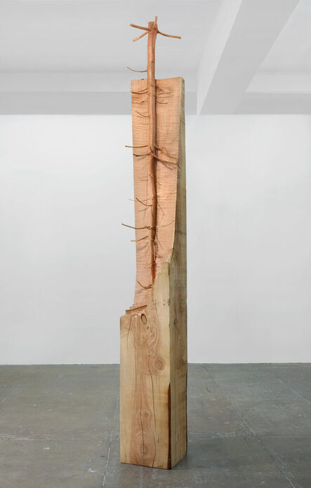 Giuseppe Penone, ‘Nel legno’, 2008