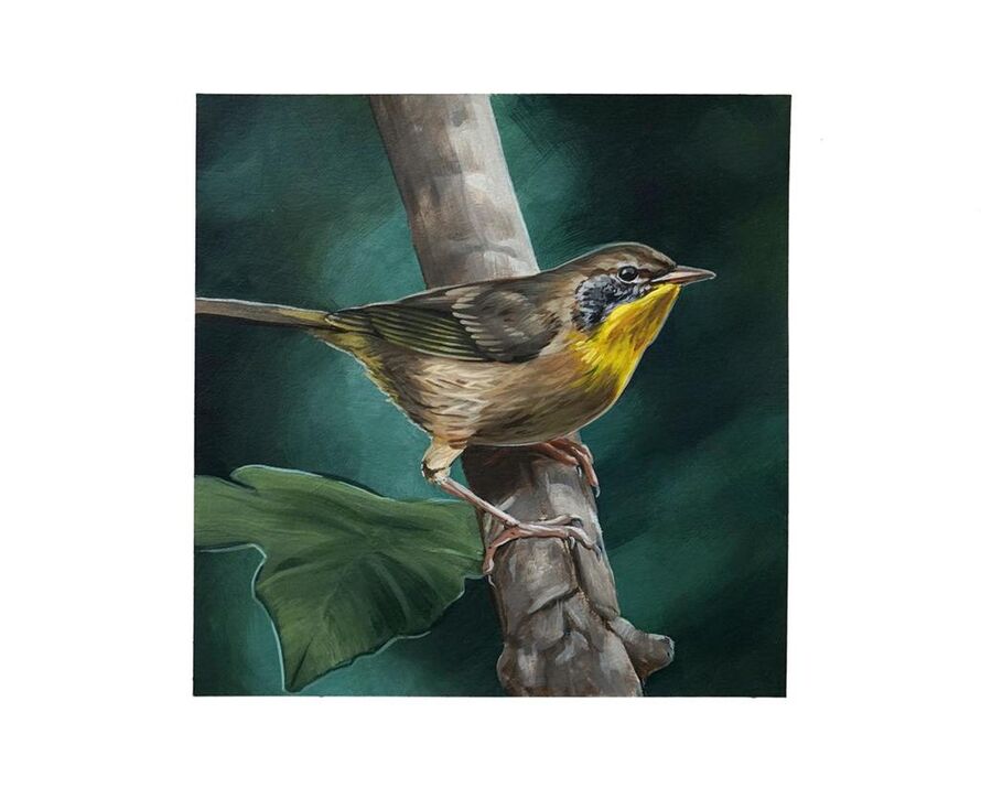 David Rice - Artworks for Sale & More | Artsy