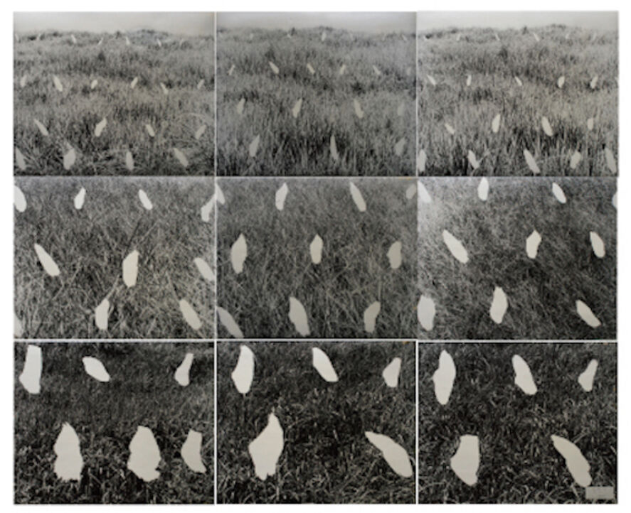 Masafumi Maita Artworks for Sale & More Artsy